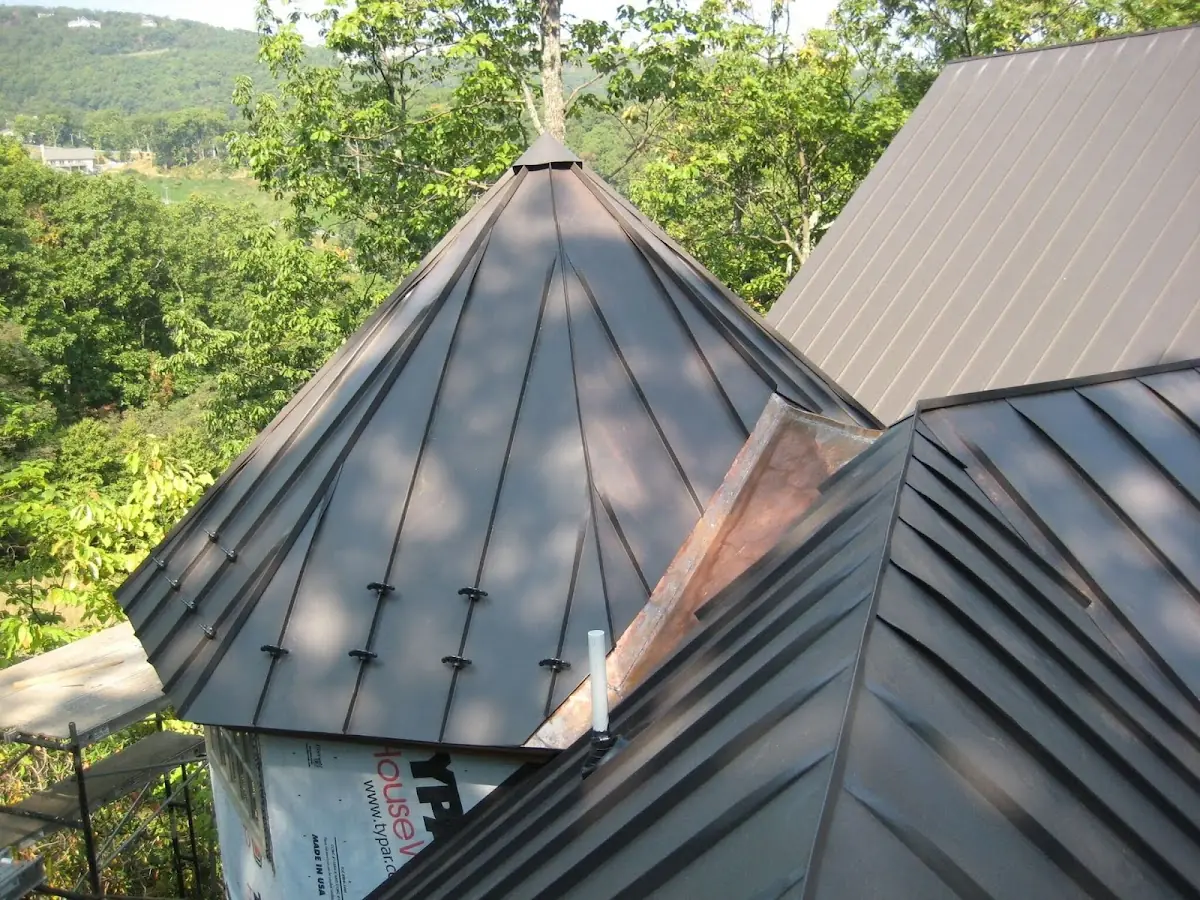 Professional Gutter Cleaning by Craftsman Roofing in Downtown West